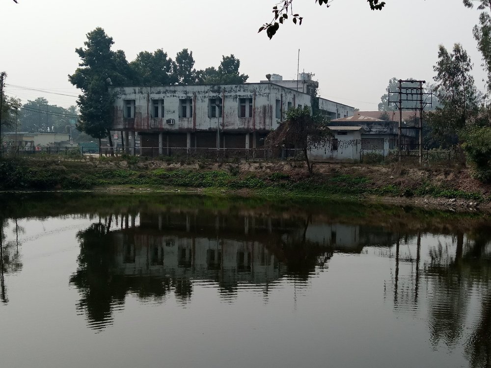 Healthy Surroundings.