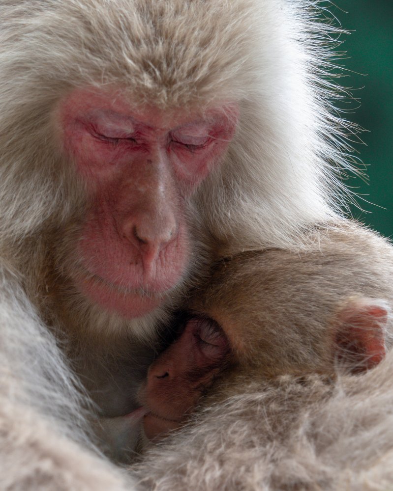 Photograph by Photons Reflectitur