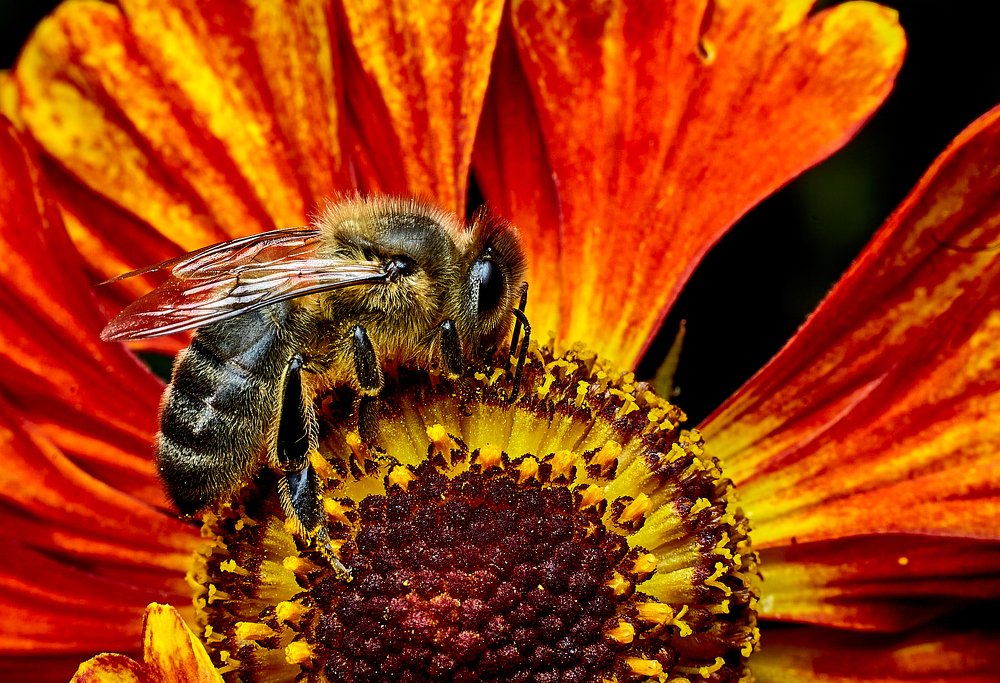 Photograph by Виктор Ноговицин