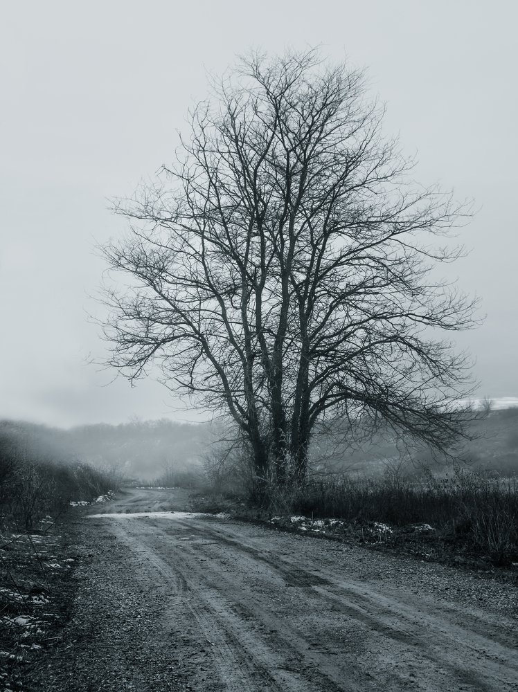 Photograph by Tatjana Vujnovic