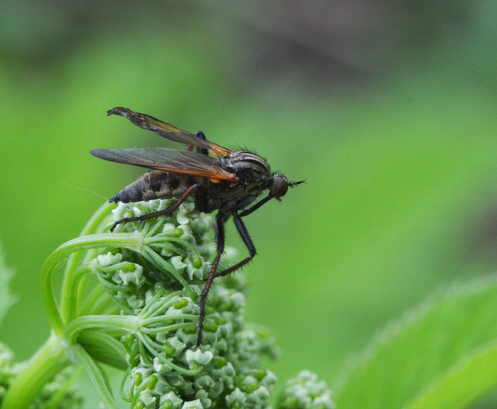Фотография автора Сергей Суворов