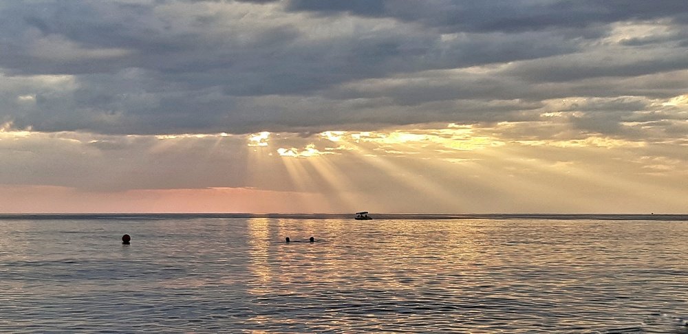 Photograph by Алёна Пивина