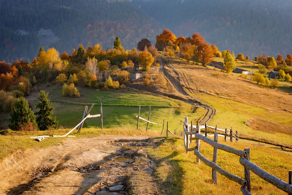 Photograph by Татьяна Степанова