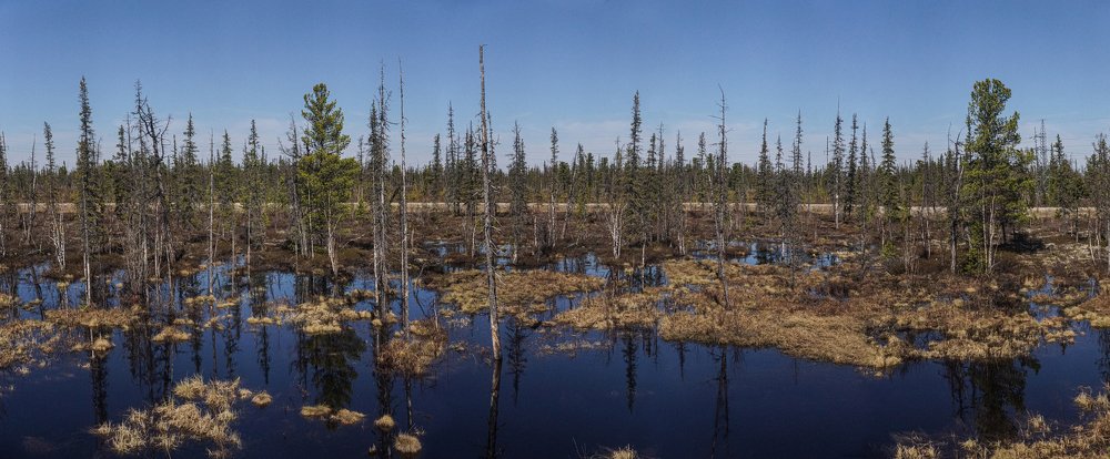 Photograph by Тимофей Горлов