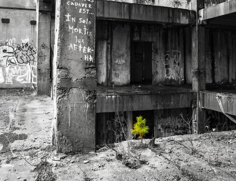 Photograph by Анна Панеева