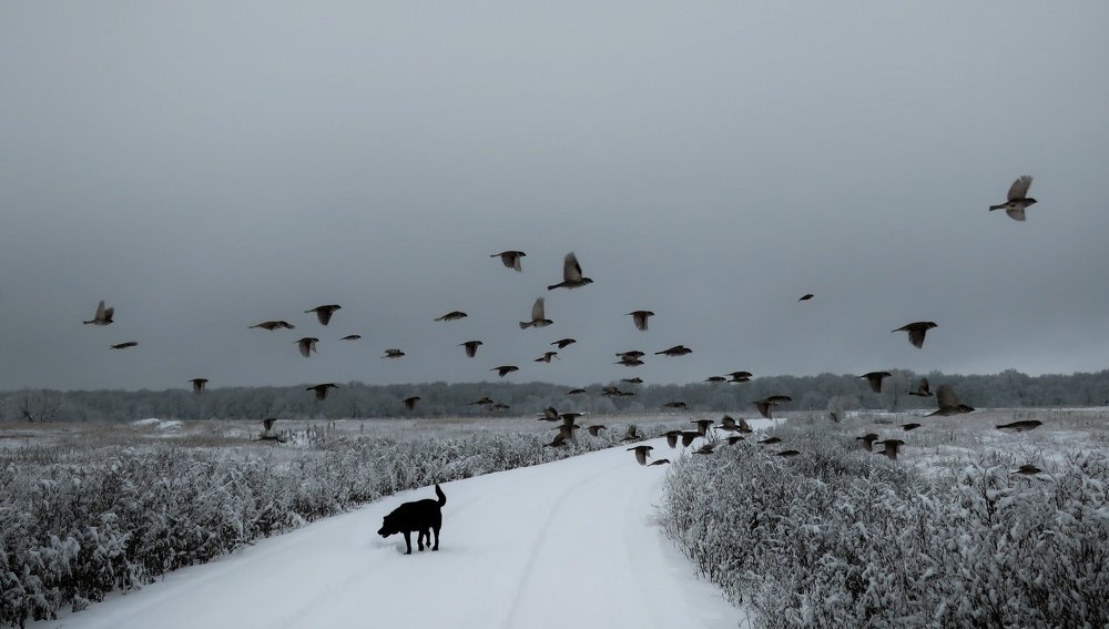Photograph by Александр Бычков