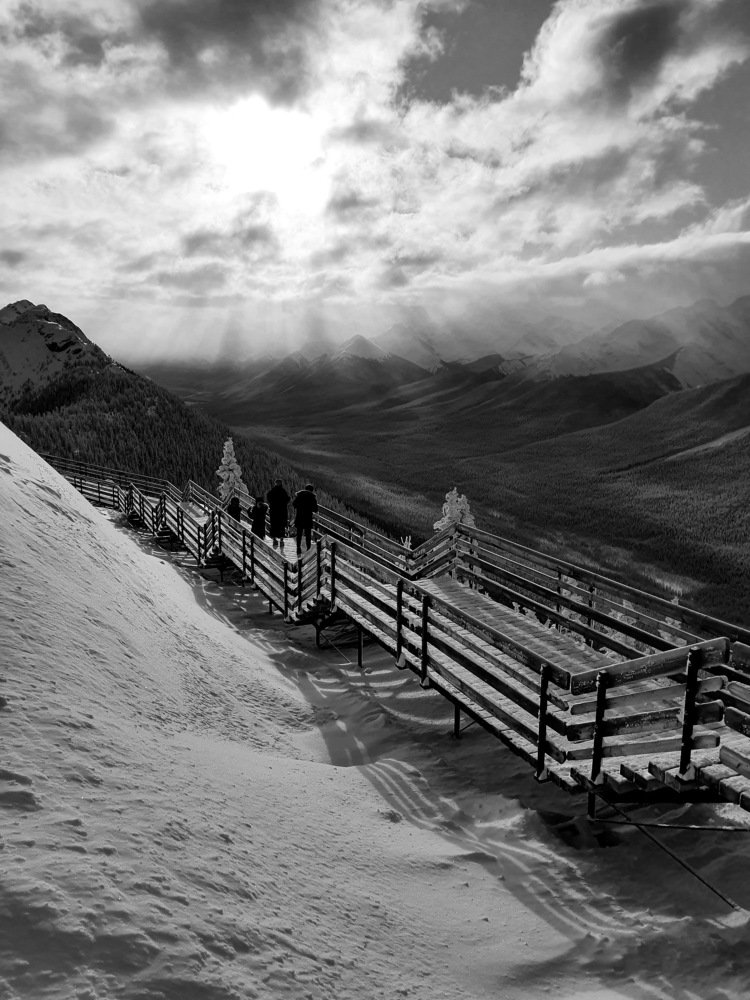 Photograph by Daniel Botez