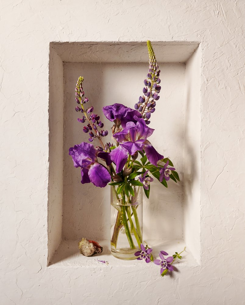 Ирисы и люпины в белой нише