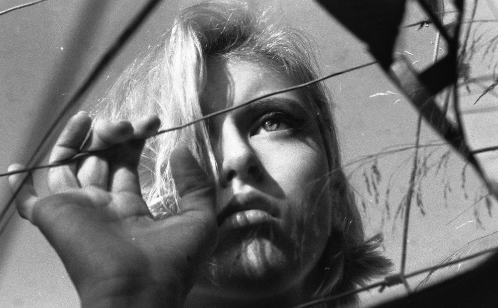 Photograph by Елена Литвинова