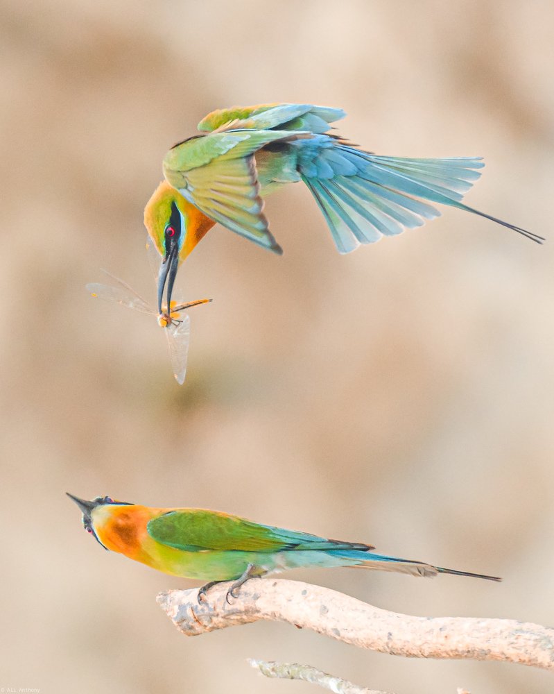 Photograph by MD KABIUL AKHTER ALI