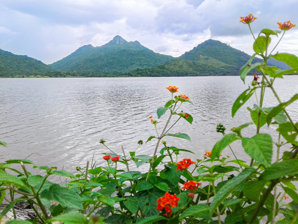 Photograph by Dineth Ravinda