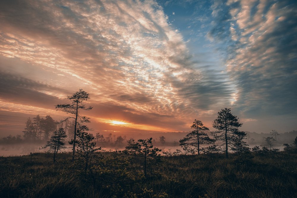 Photograph by Dace Spalviņa