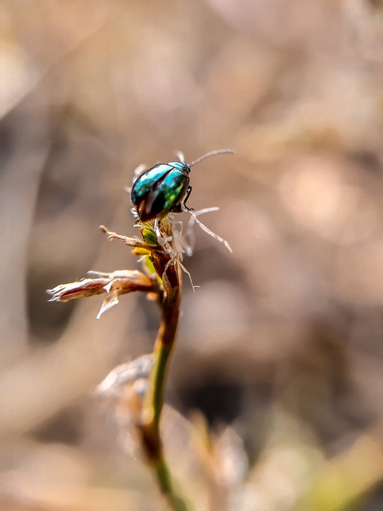 Перед взлётом