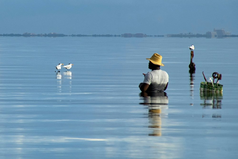 Photograph by Deryl Varela Cienfuegos