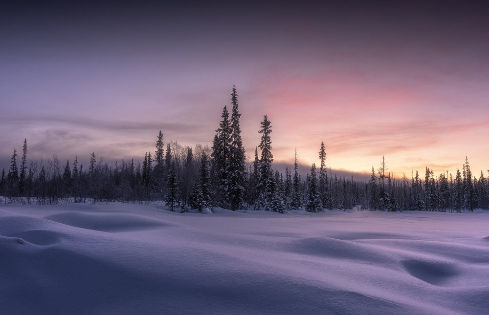 Photograph by Алексей Козаченко