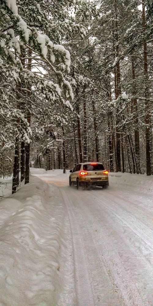 Photograph by Дмитрий Михайлов