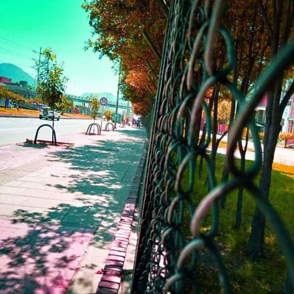 Photograph by Cristian Salazar