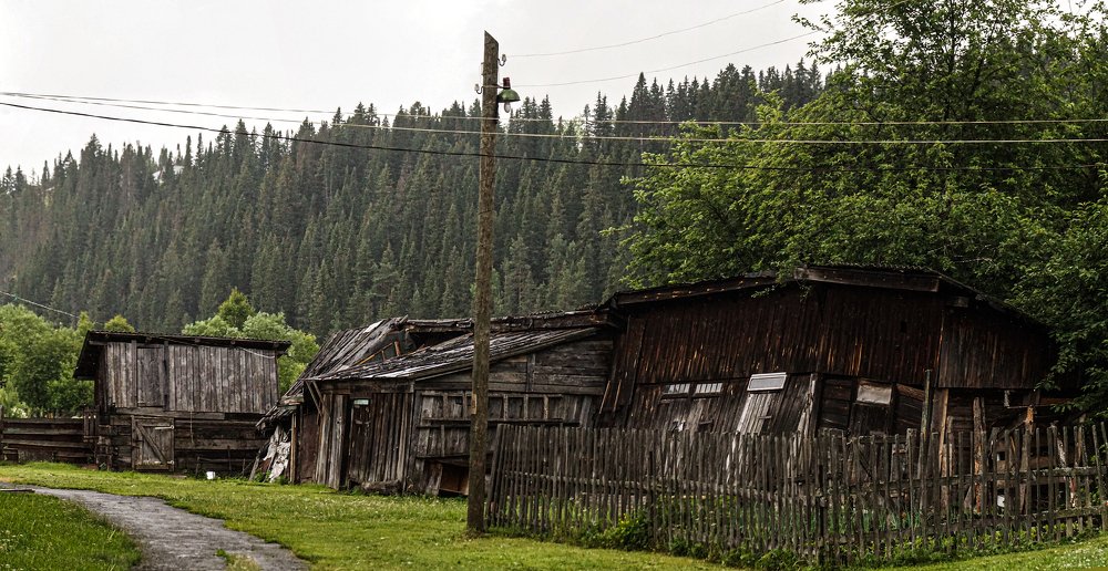 Photograph by Тимофей Горлов