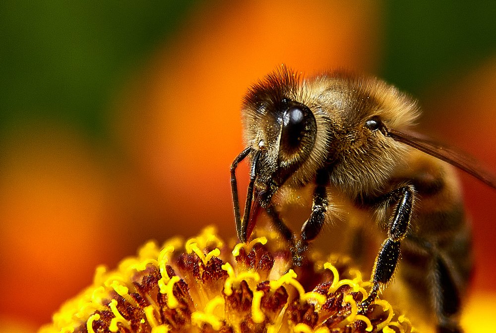 Photograph by Виктор Ноговицин