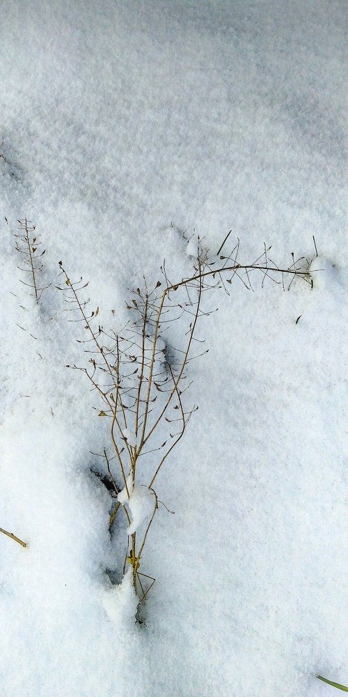 Photograph by Дмитрий Михайлов