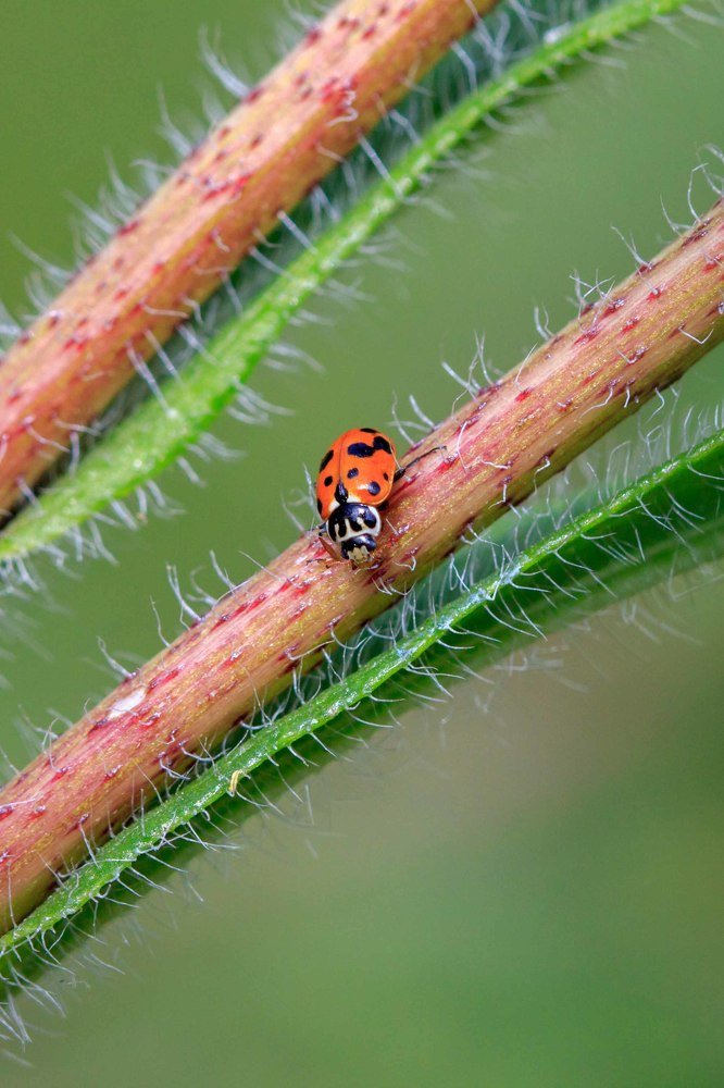 Photograph by Efremenko Nikita