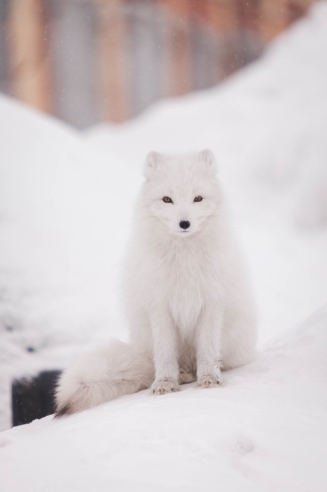 Photograph by Александра Куликова