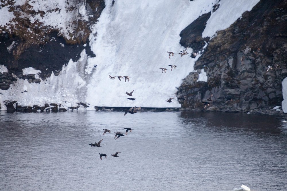 Photograph by Александра Куликова