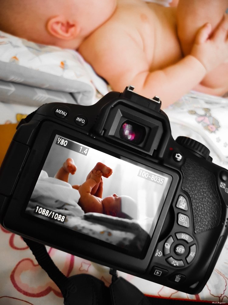 Photograph by Павел Моргунов