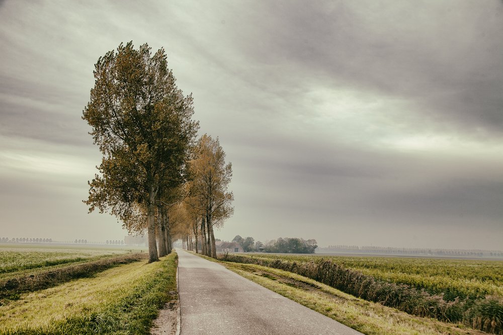 Photograph by Anne-Marie Vermaat