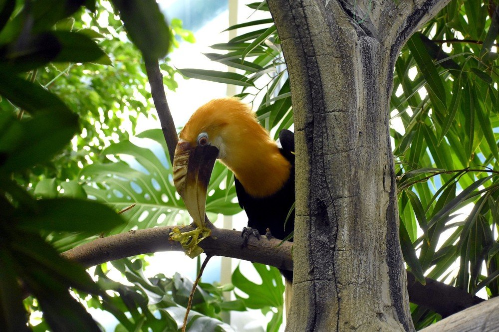 Photograph by Наталья Аржинт