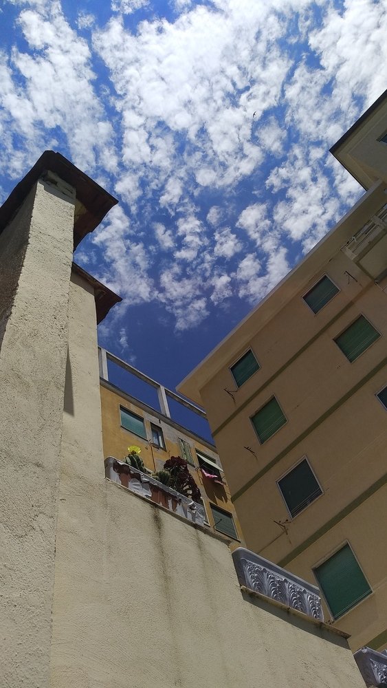 Photo #4381022