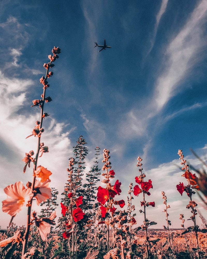 Photograph by Евгения Костырко