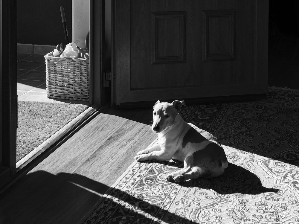 Photograph by Мария Тяпкова