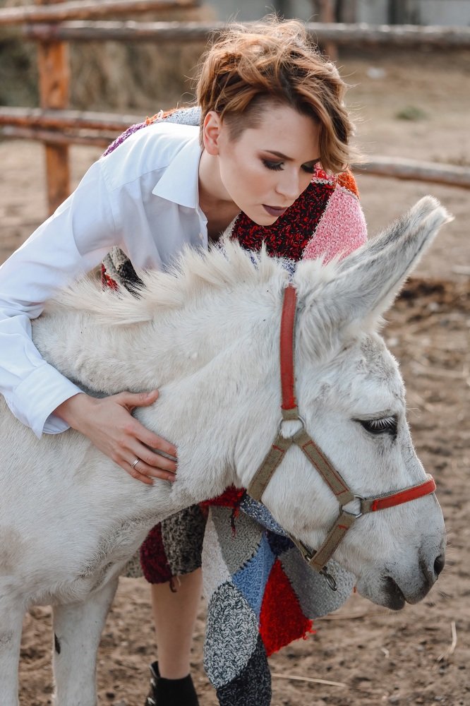 Любовь к животным