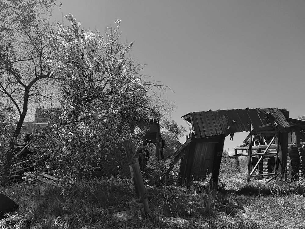 Photograph by Ирина Саттарова