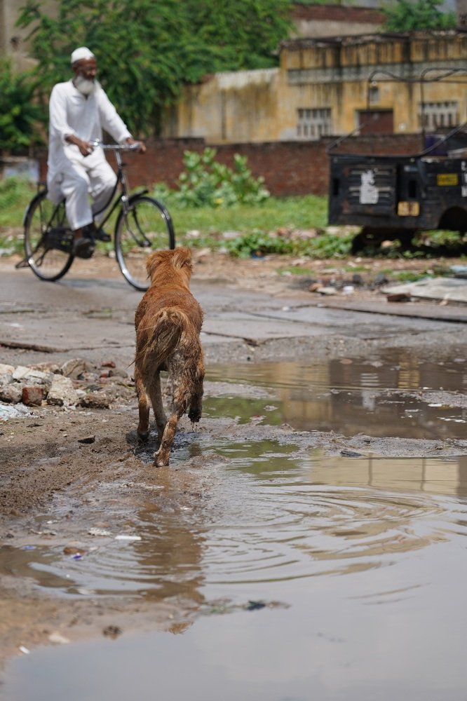 Photograph by Muhammed Sooraj