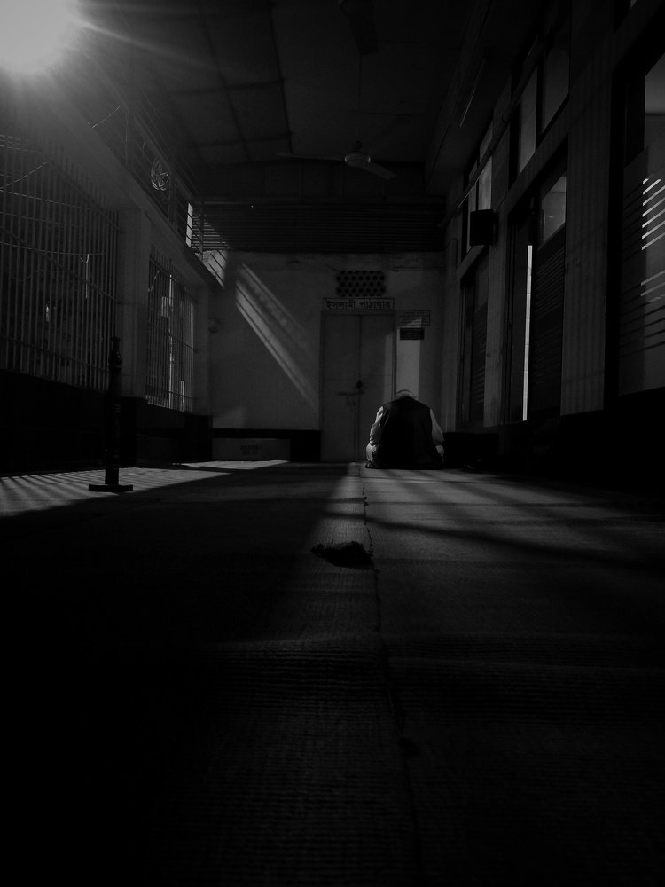 Photo #4381260