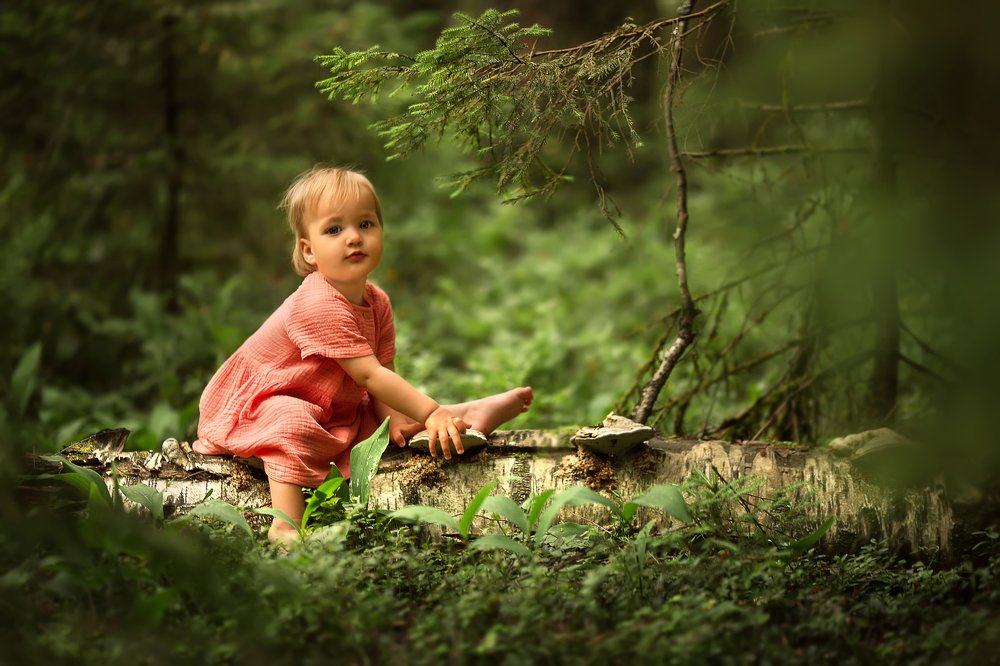 Девочка в таинственном лесу