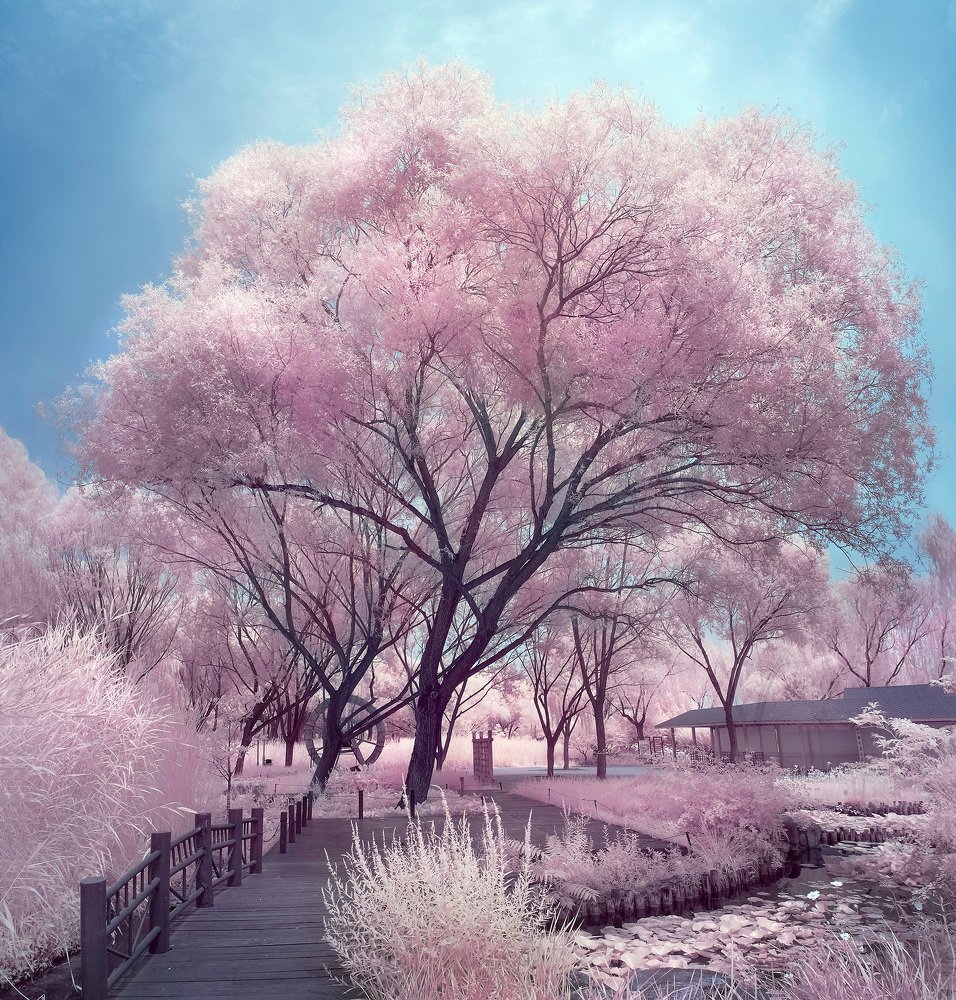 Пейзаж в нежных тонах