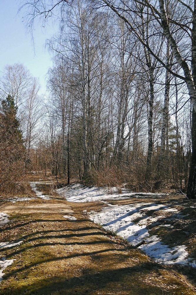 Photograph by Михаил Малец