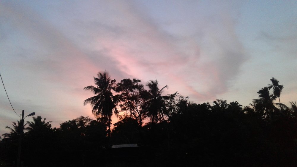 Photograph by Dineth Ravinda