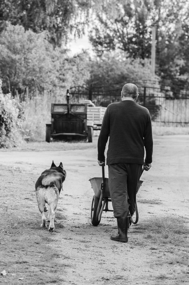 Photograph by Светлана