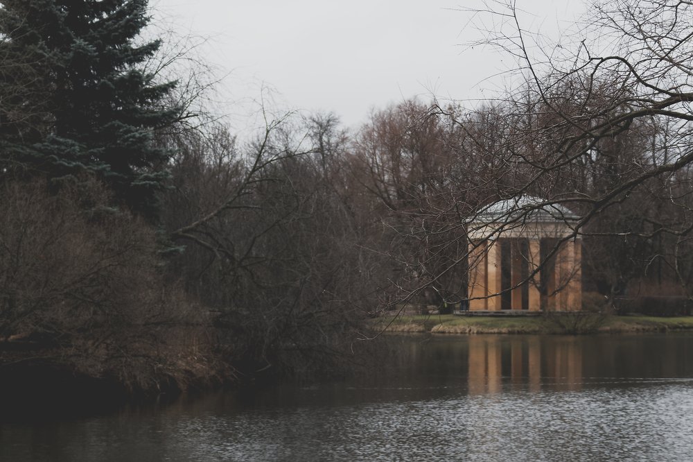 Photograph by Александр Савченко