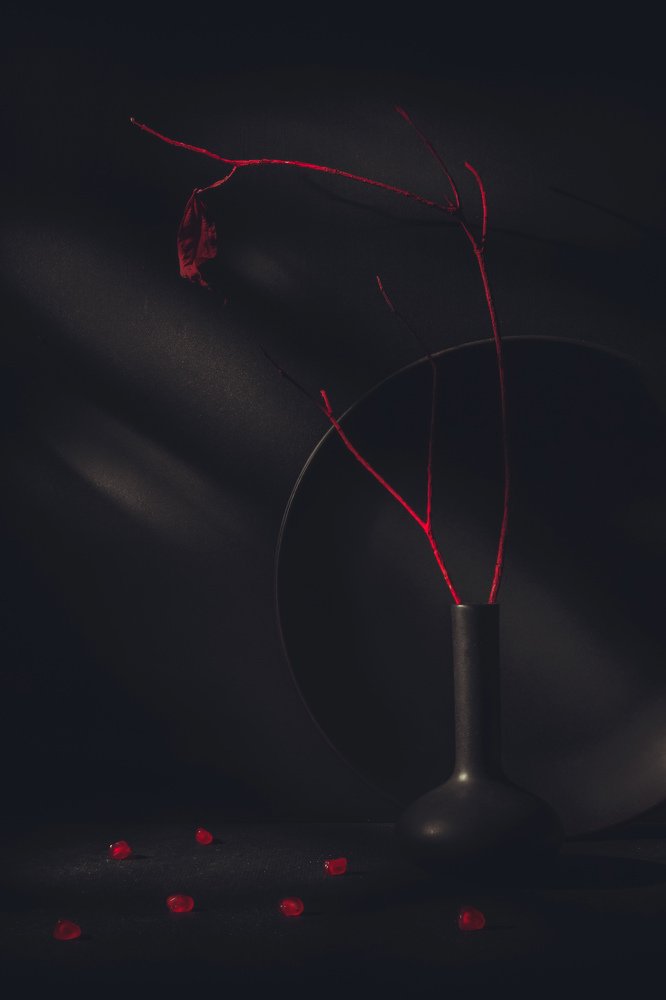 Photograph by BITTU PRODHAN