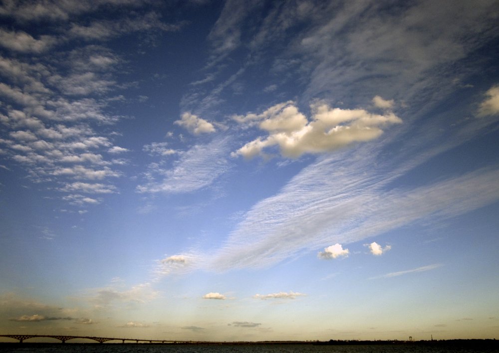 Photo #4381670