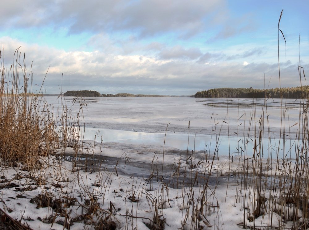 Photograph by Юлия Орлова