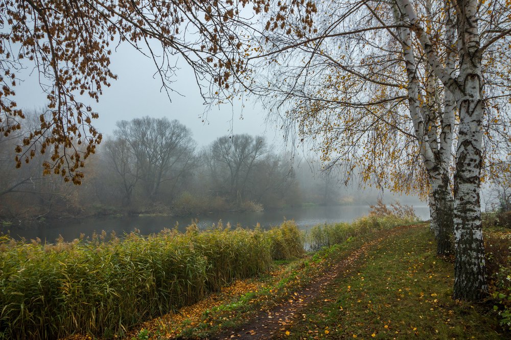 Фотография автора Руслан Востриков