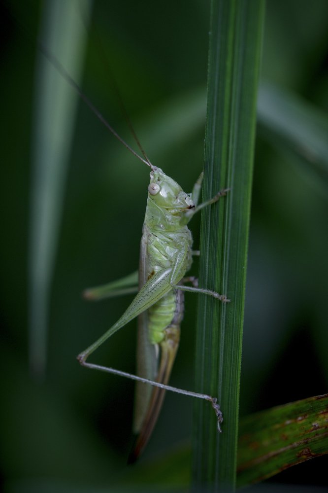 Photograph by Efremenko Nikita