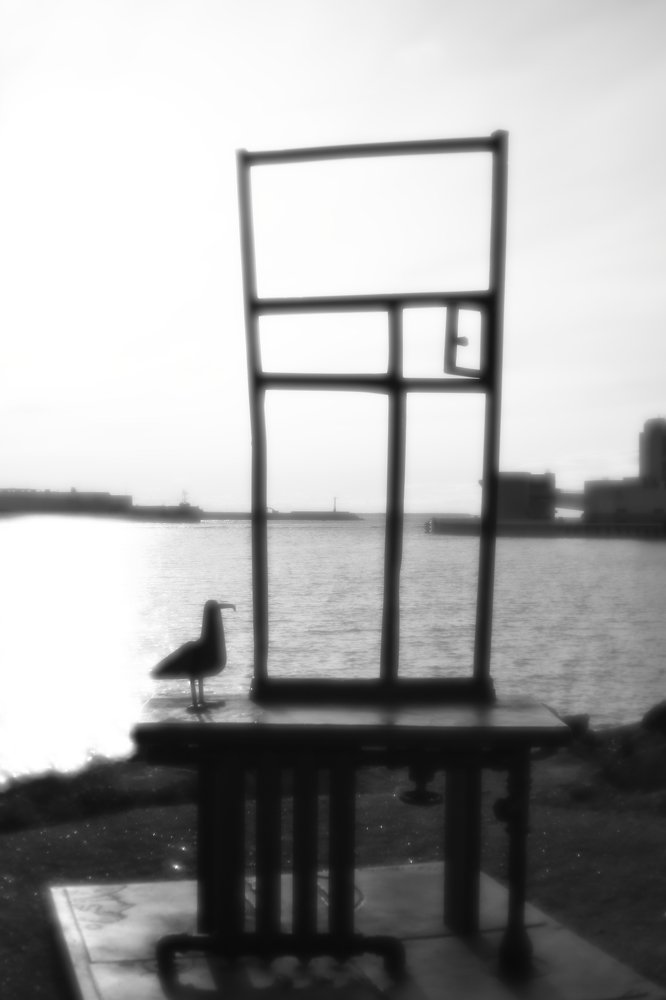 Photograph by Прозорова Наталья