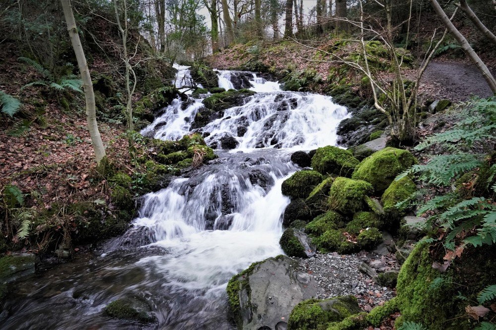 Photograph by Antonio Perestrelo